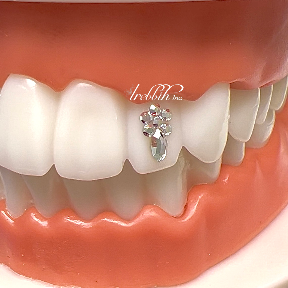 Twin Swarovski Tooth Gems  Teeth jewelry, Tooth gem, Diamond teeth